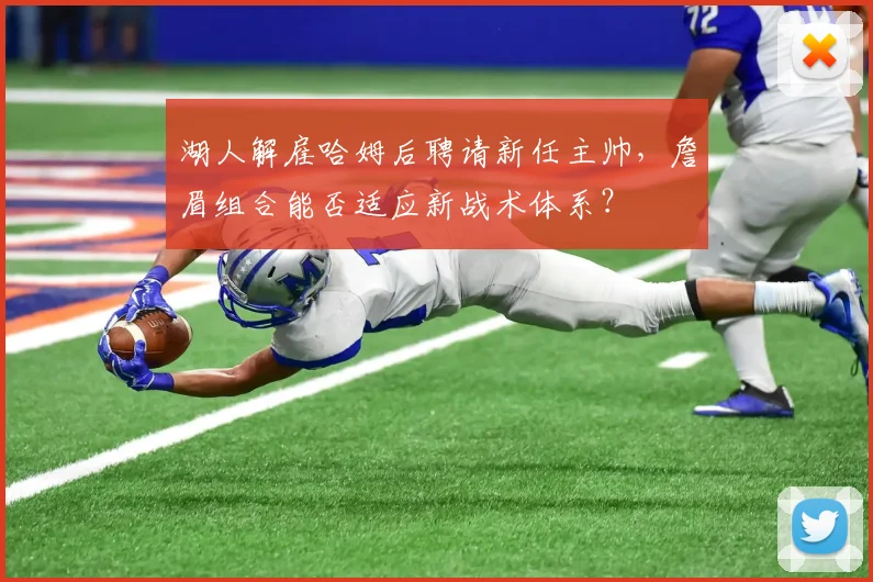 湖人解雇哈姆后聘请新任主帅,詹眉组合能否适应新战术体系?